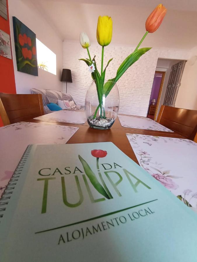 Cabo BrancoCasa Da Tulipa公寓 外观 照片